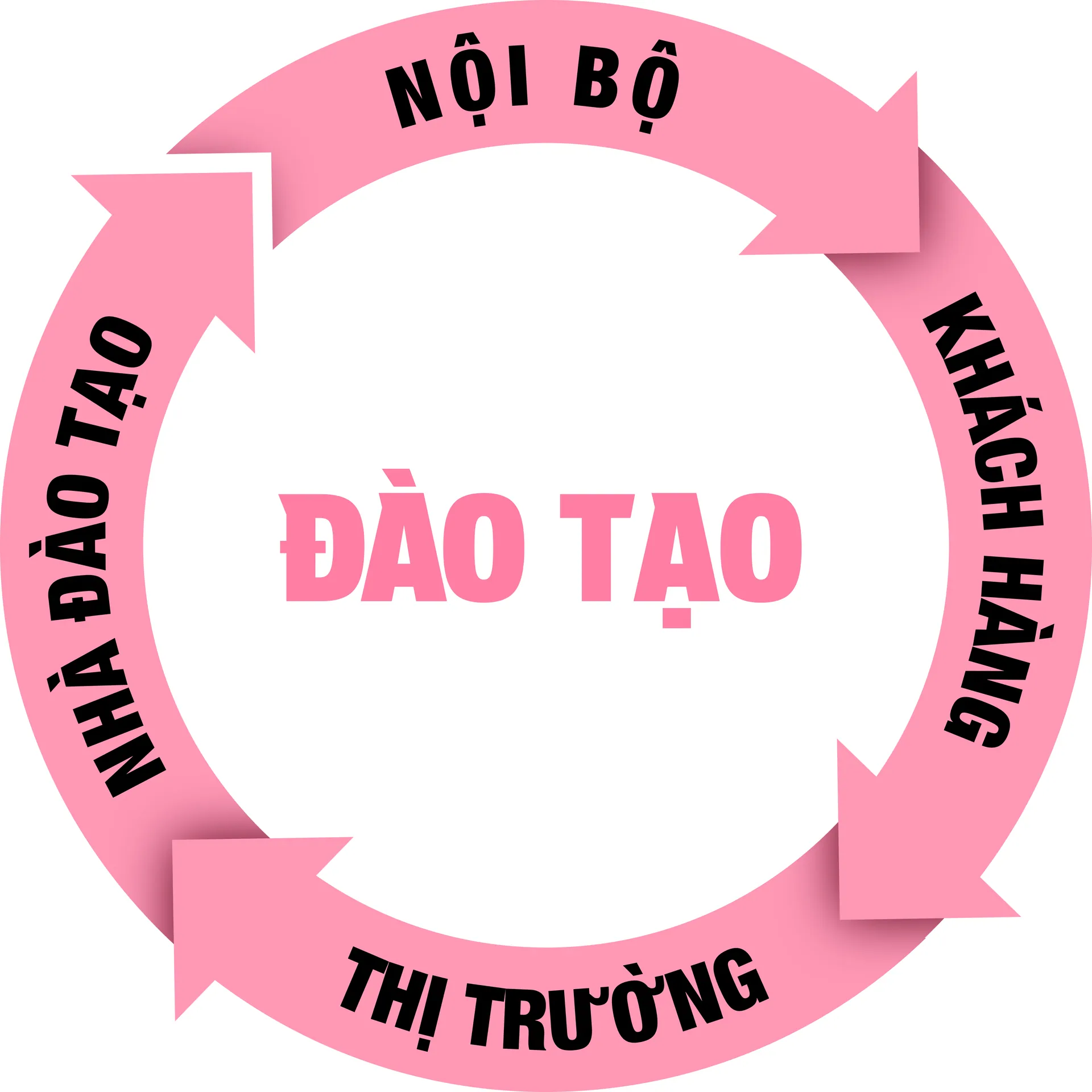 Đào tạo Sales B2B